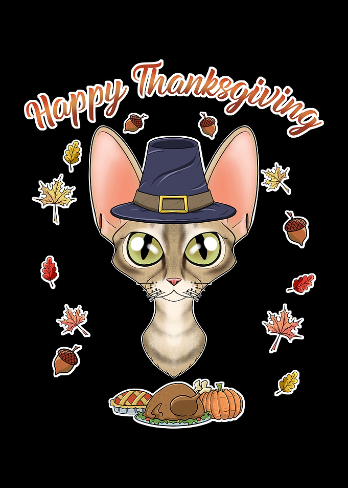 Devon Rex Cat Thanksgiving
