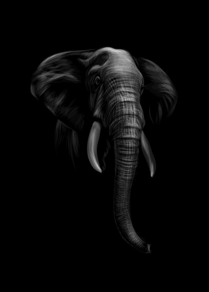 Portrait of an elephant