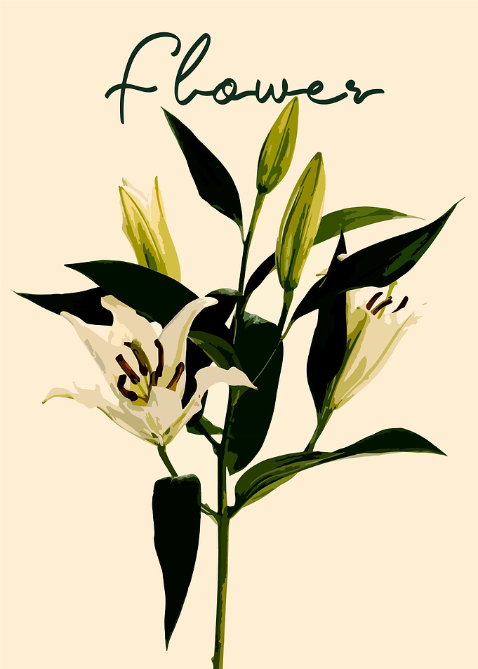 Flower