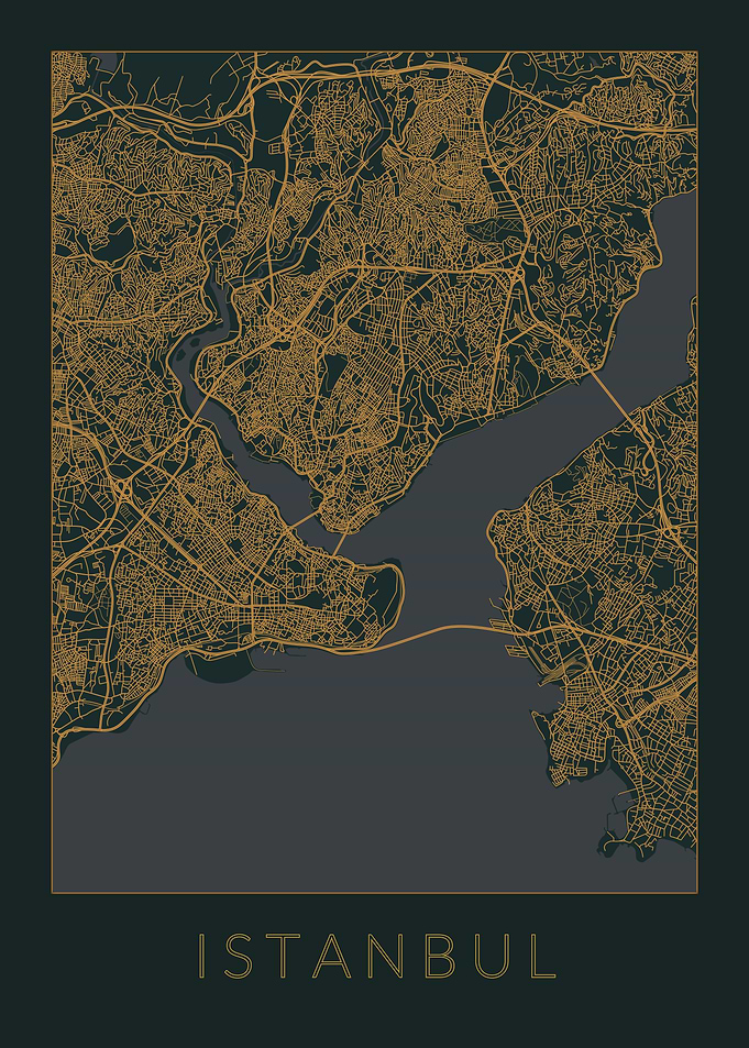 Istanbul Gray Orange Map