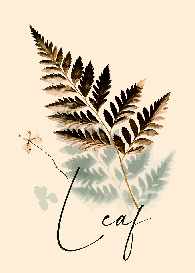 Leaf