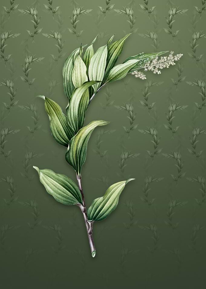 Vintage Treacleberry