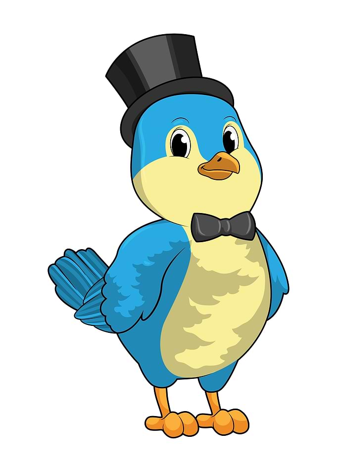 Bird Groom Hat Wedding