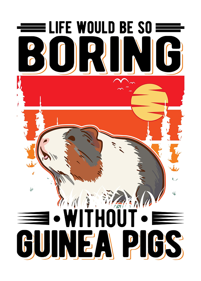 Guinea Pig Gift
