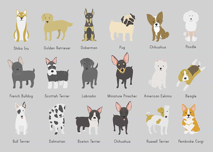dogs collection
