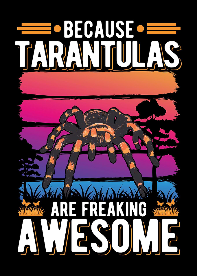 Tarantula Gift