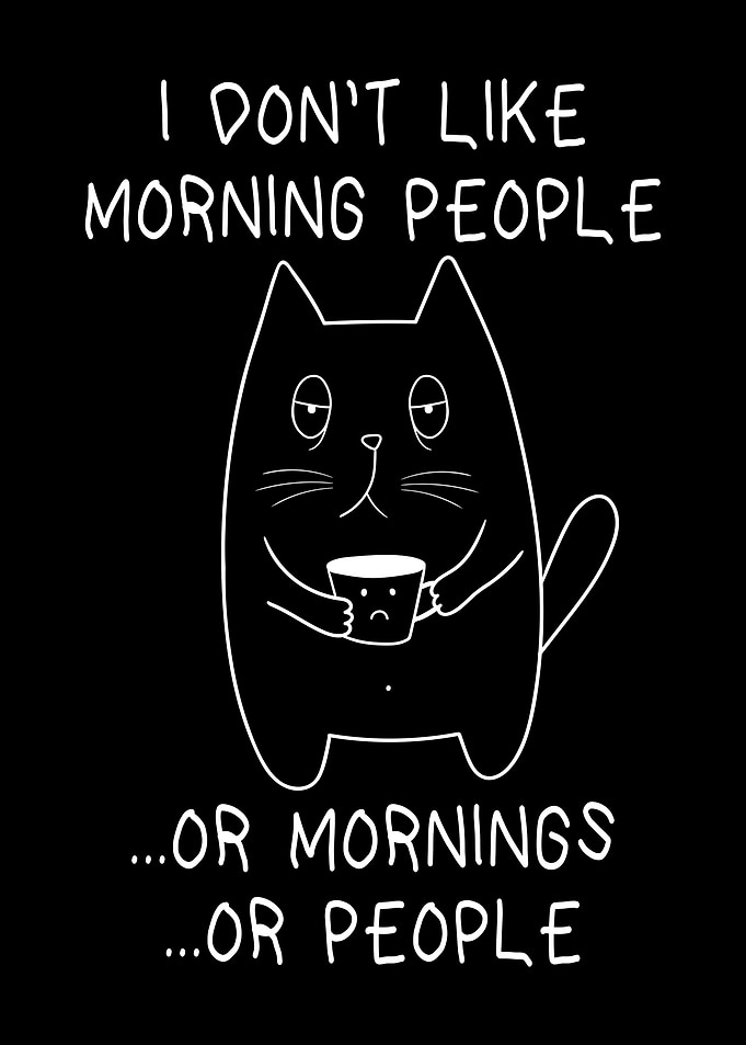 People Moody Tired Cat