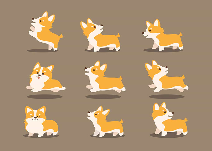 Cute corgi dog