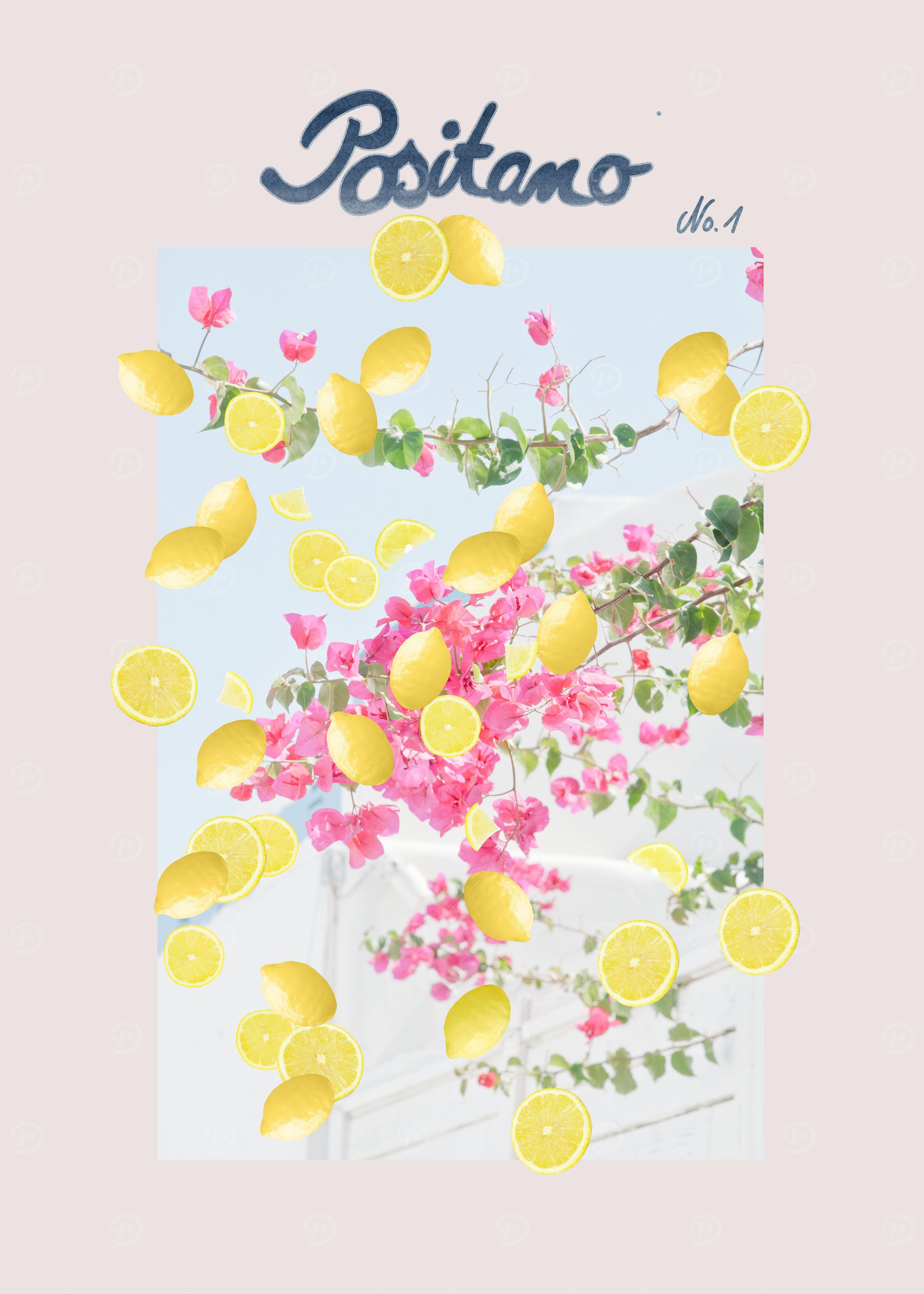 Flower Fruit Market 1