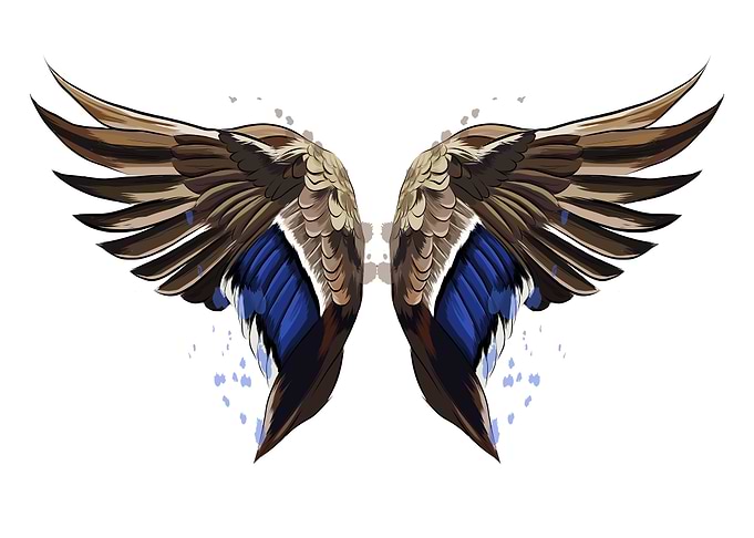 Colorful wings