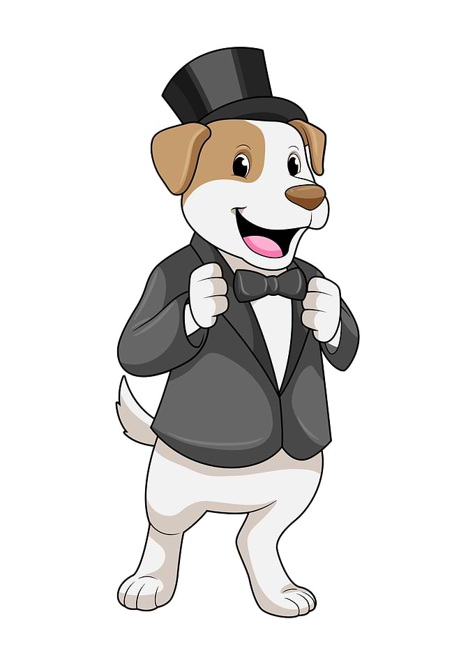 Dog Groom Hat Wedding