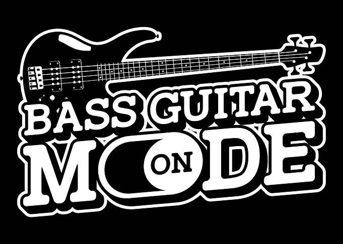 Bass Guitar Player Bassist