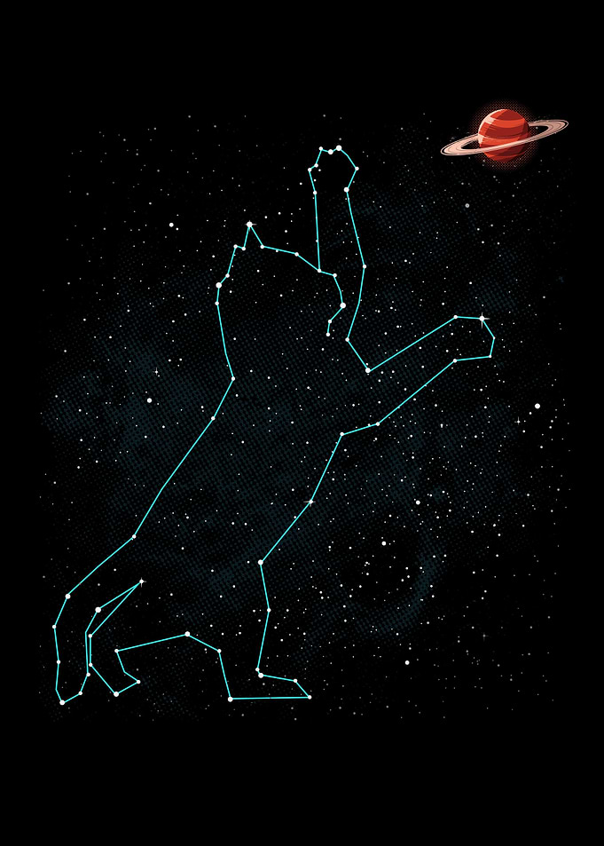 Cat constellation