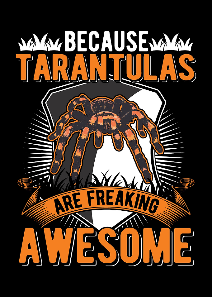Tarantula Gift