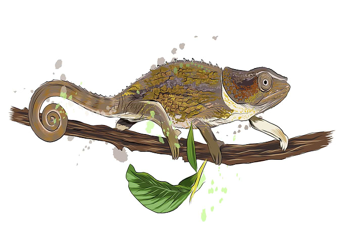 Chameleon watercolor