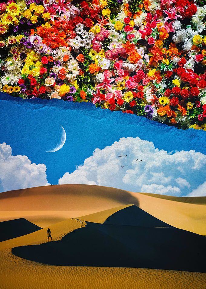 A Desert Full Of Flowers