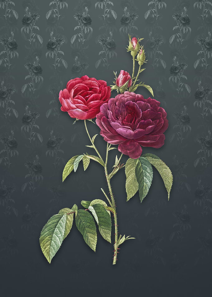 Vintage Purple Roses