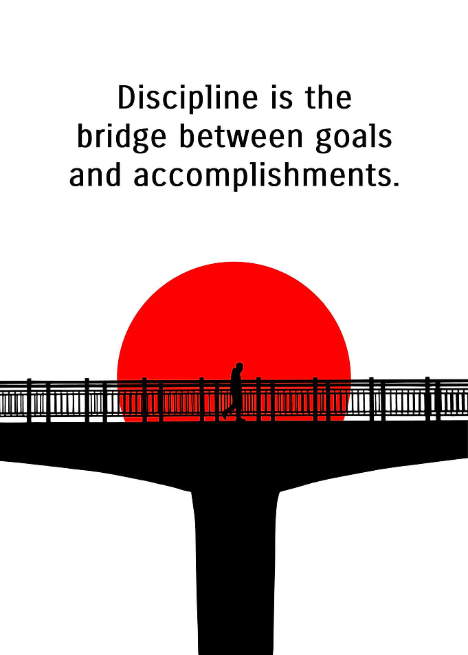 Discipline Bridge