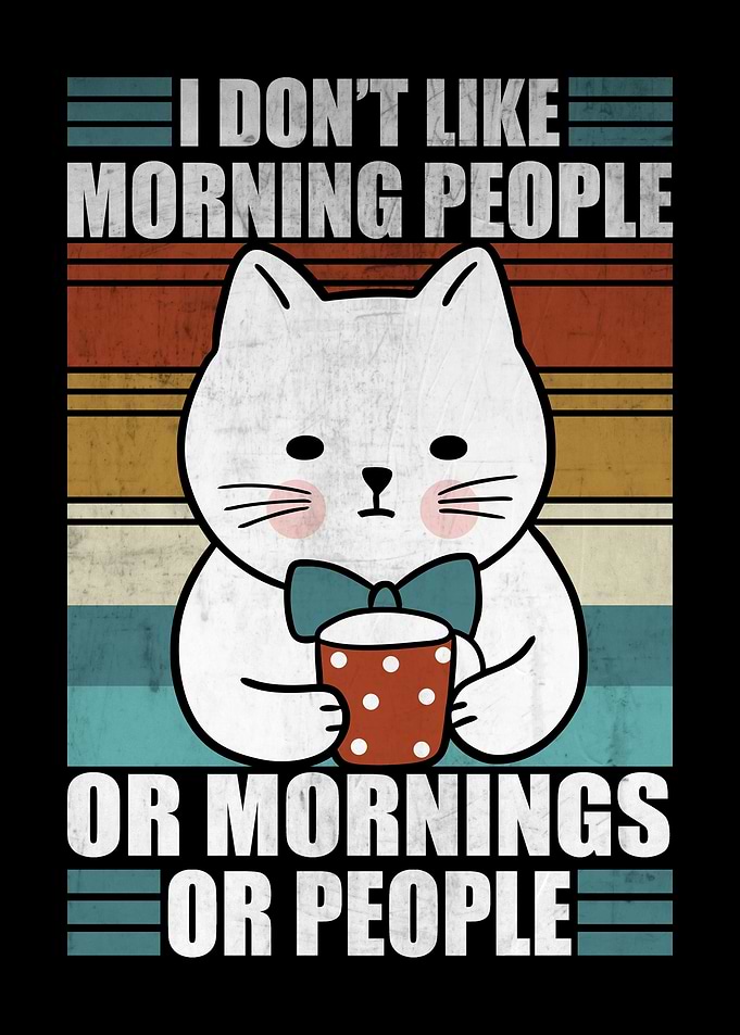 Sarcastic Cat Morning