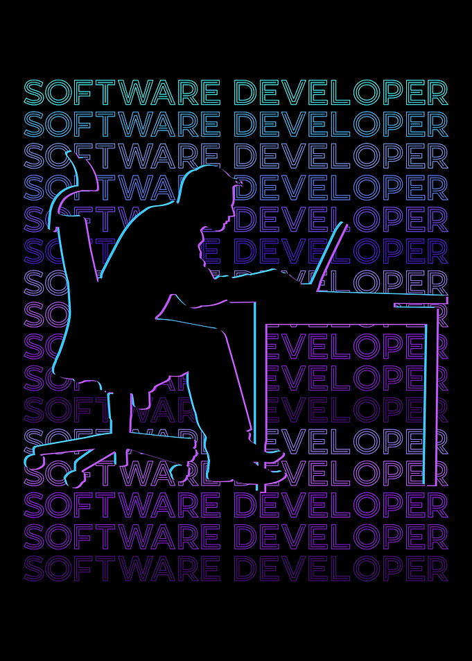 Software Developer