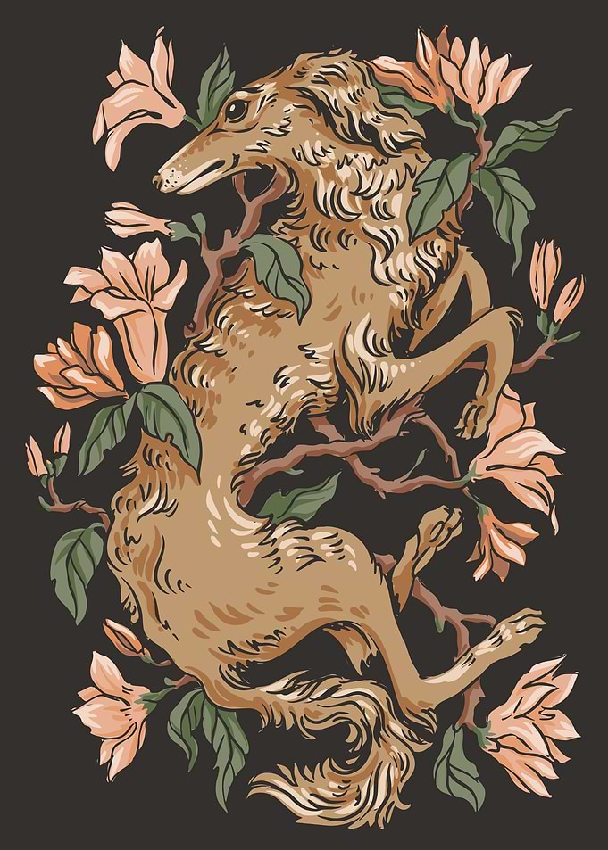 Greyhound dog nature