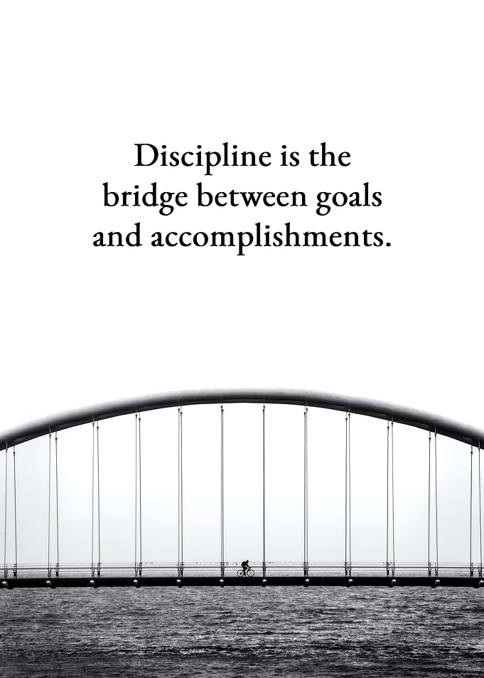 Discipline Bridge
