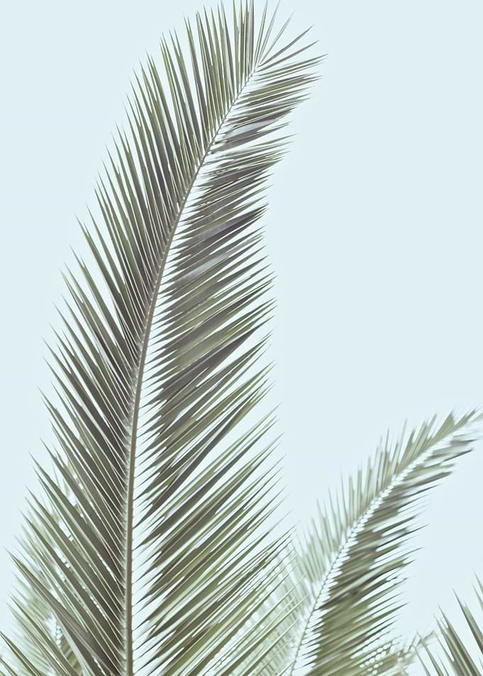 Minimalist Palm Leaf