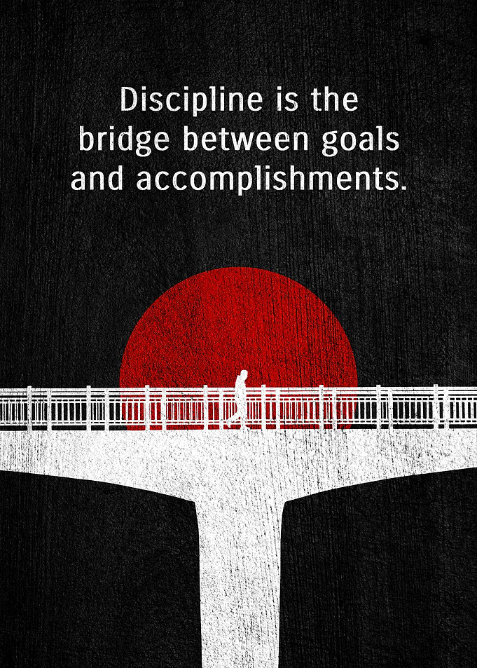 Discipline Bridge