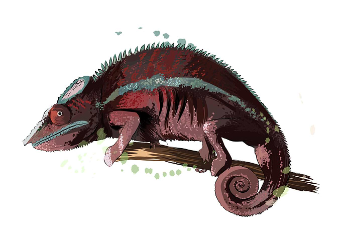 Chameleon watercolor