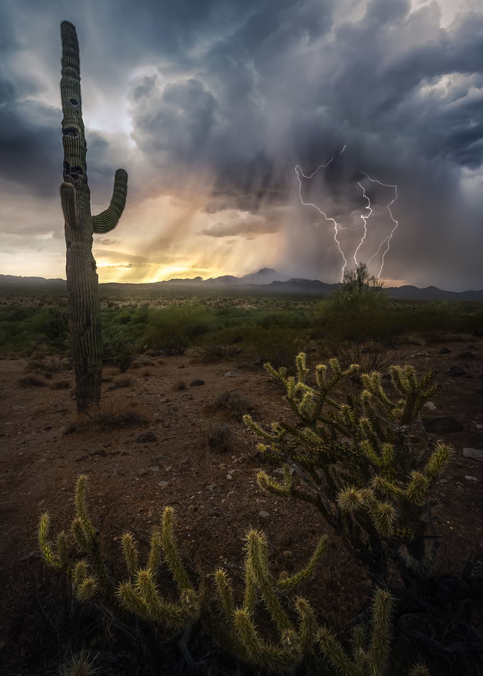 Elemental Arizona