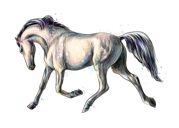Horse run watercolor
