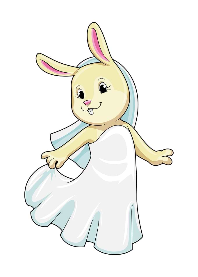 Bunny Bride Veil Wedding