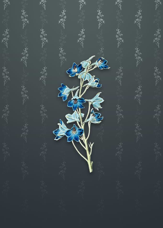 Shewy Delphinium Flower