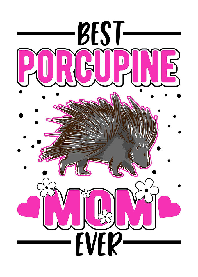 Porcupine Gift