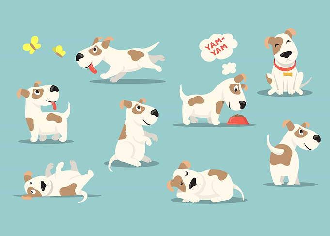 cute funny puppy