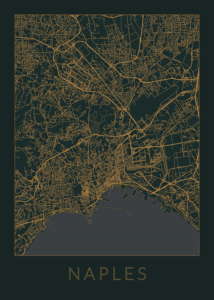 Naples Gray Orange Map