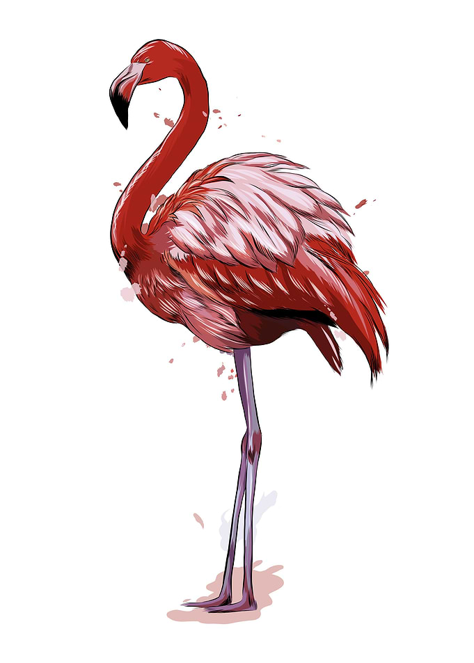 Pink flamingo watercolor