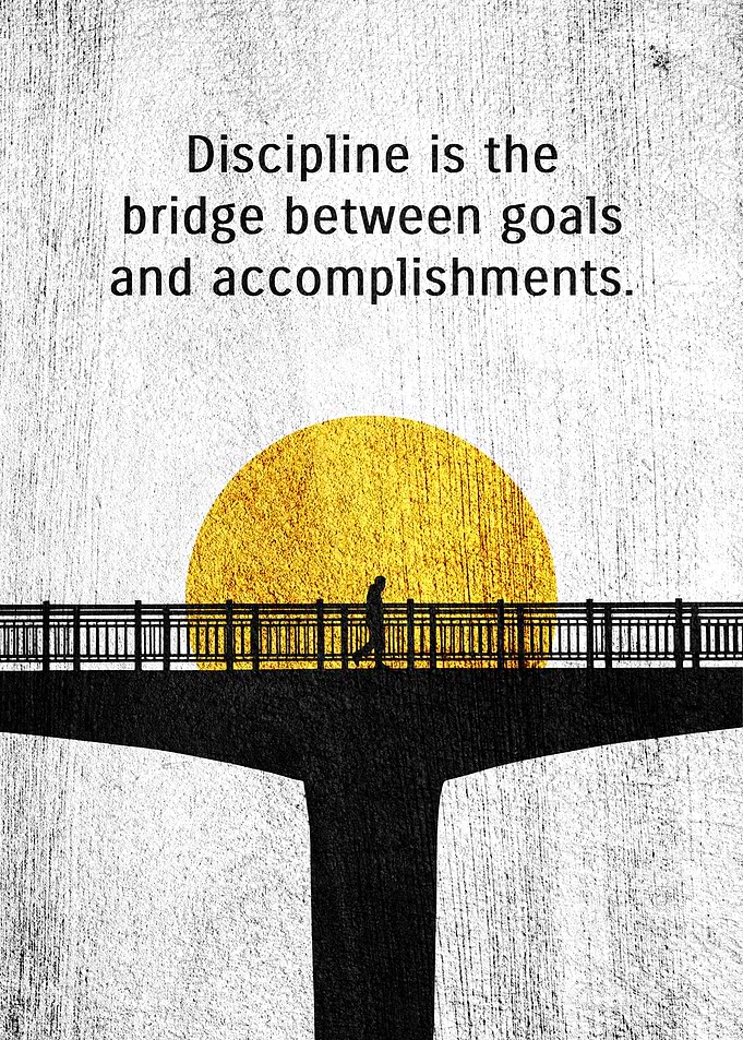 Discipline Bridge
