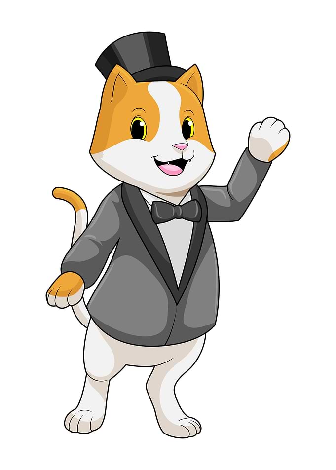 Cat Groom Hat Wedding