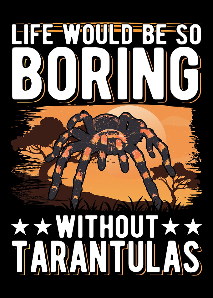 Tarantula Gift
