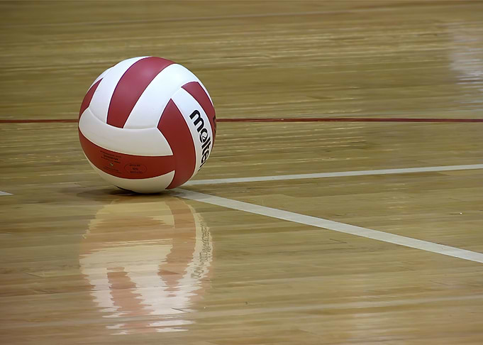 Volleyball Sports