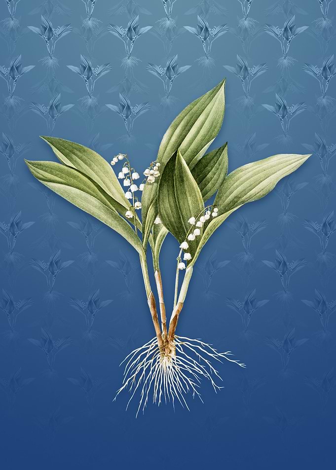 Vintage Lily of the Valley