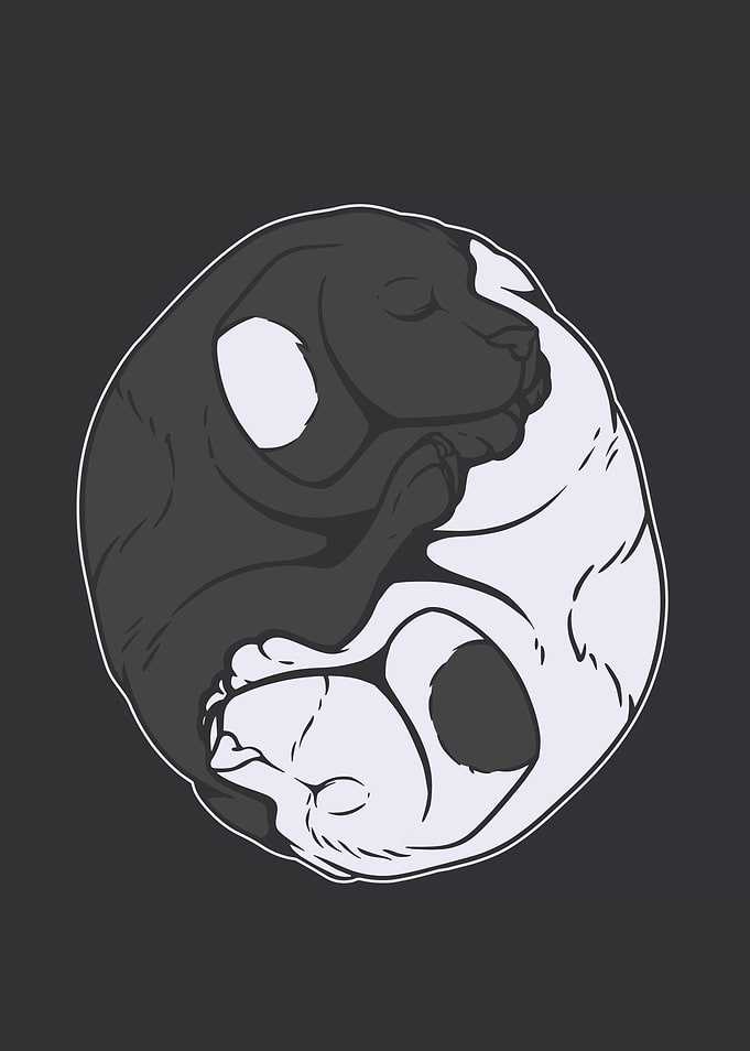 Yin yang dogs