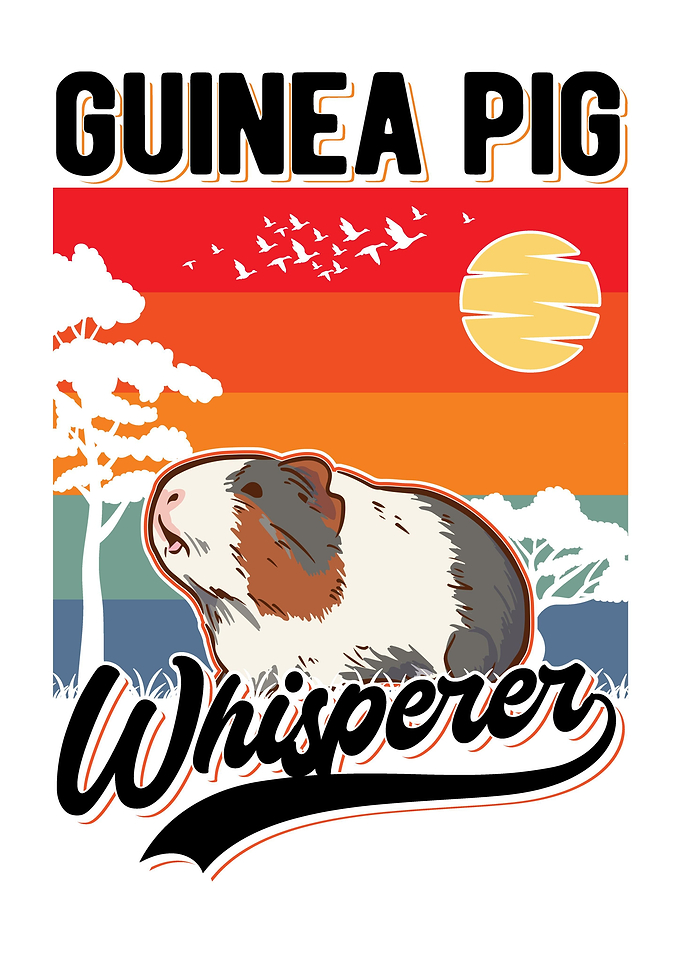 Guinea Pig Gift