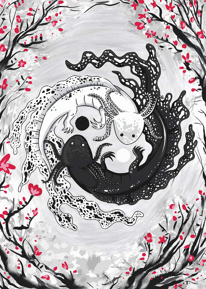 Axolotl couple yin yang
