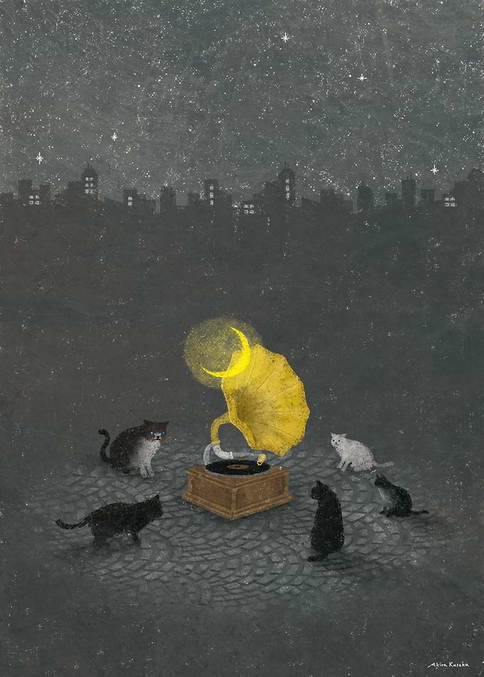 Cat night party