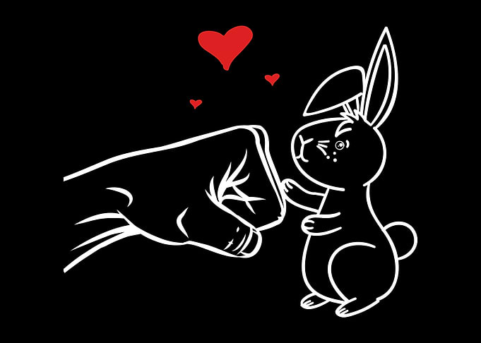 Kawaii Rabbit Love
