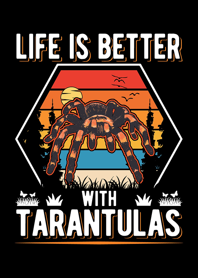 Tarantula Gift