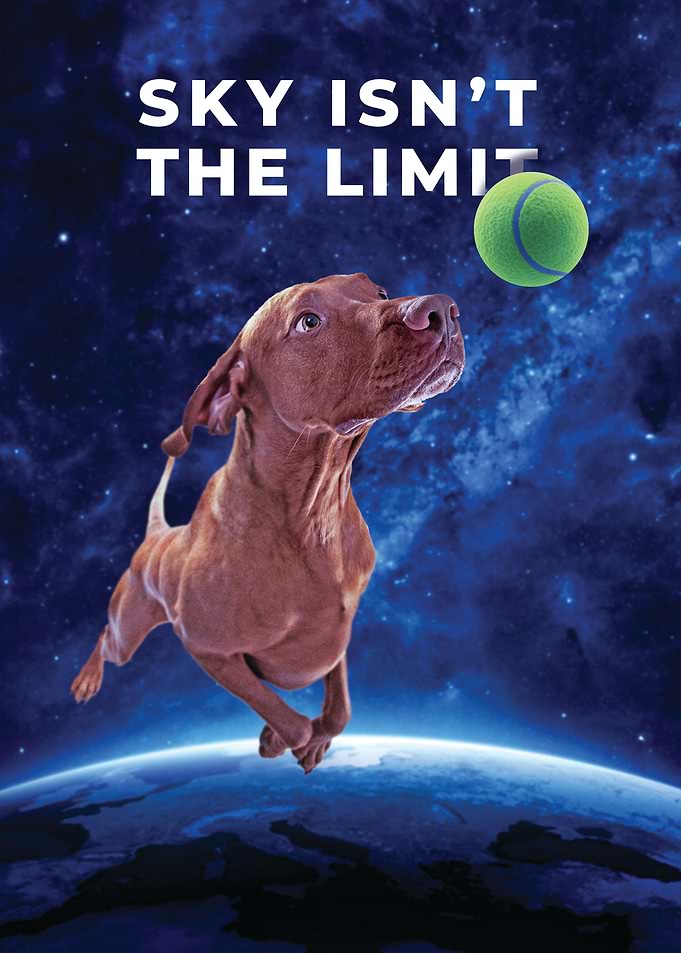 Funny Dog in Space