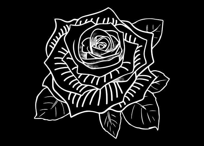 Rose Garden Roses